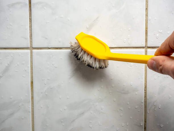 Professional Mold Removal in Wade, MS