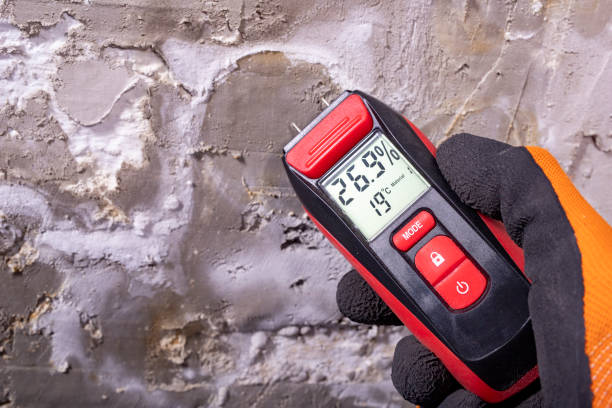 Best Attic Mold Removal  in Wade, MS